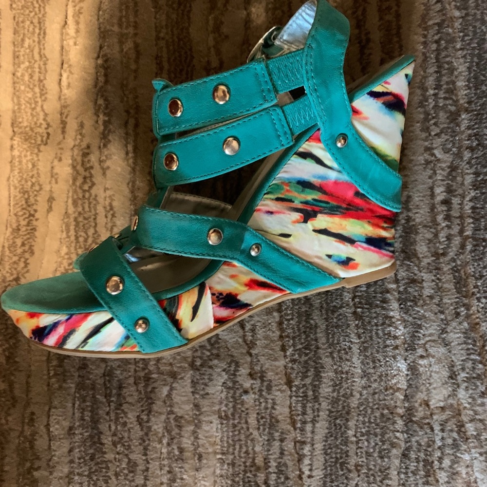 Colorful Wedges